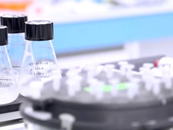 MedinCell agrandit ses laboratoires et recrute 20 personnes